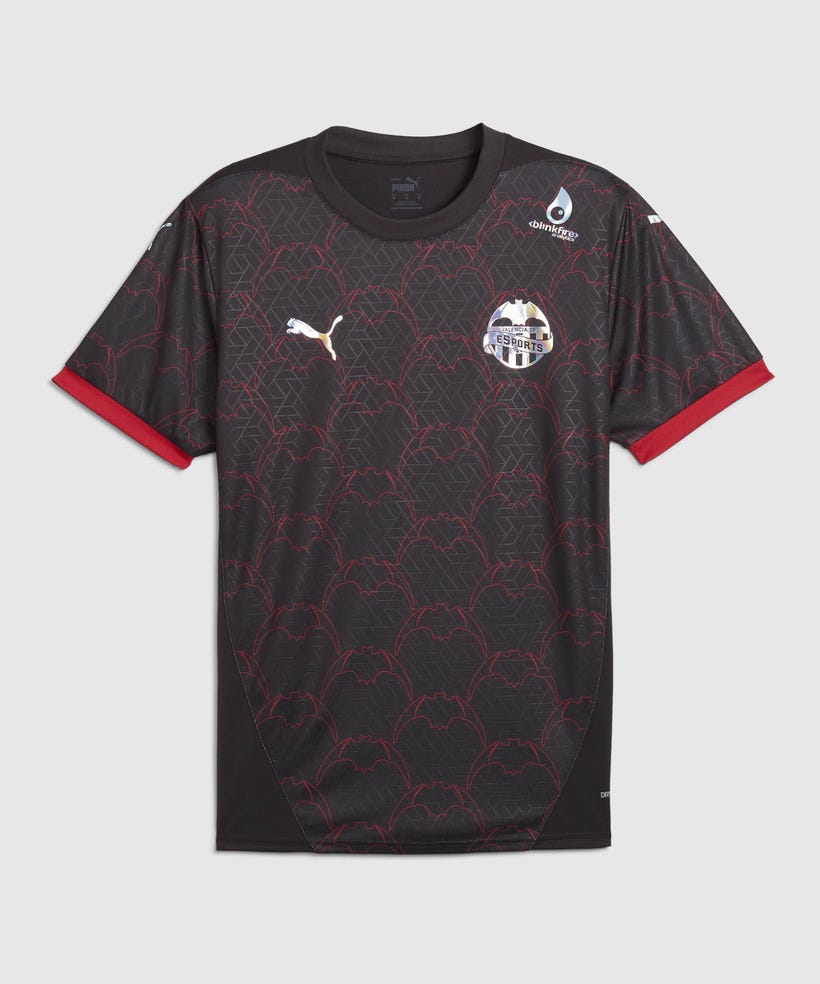 CAMISETA VCF eSPORTS 24/25 main product photo