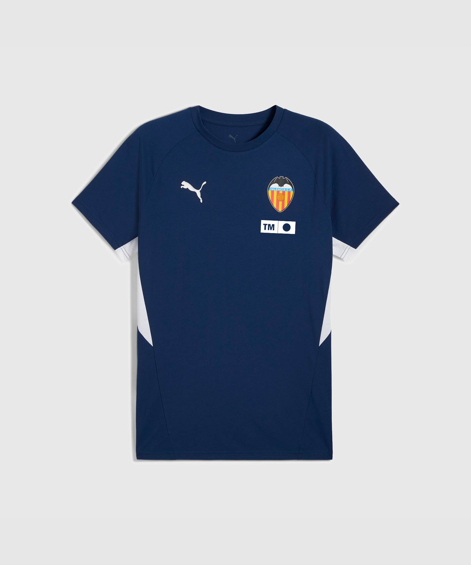 CAMISETA PASEO TÉCNICO JUNIOR 25/26