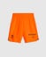 VCF THIRD MATCH SHORTS 23/24