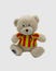 VCF SENYERA TEDDY BEAR