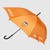 VCF Umbrella